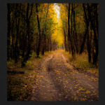 Осенняя топинка