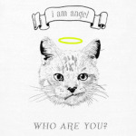 Кот ангел с нимбом над головой