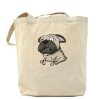 Холщовая сумка