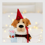 Собачка с подарочной косточкой