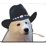 Самоедский Рейнджер