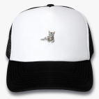 Кепки Trucker