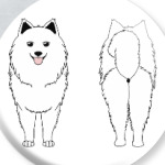 Два Самоеда