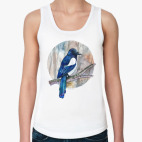 птица сорока