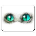 Я слежу за тобой...Глаза.