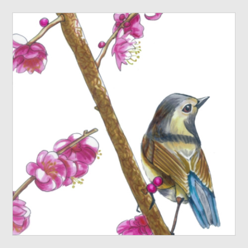 Постер с принтом Серия: птицы