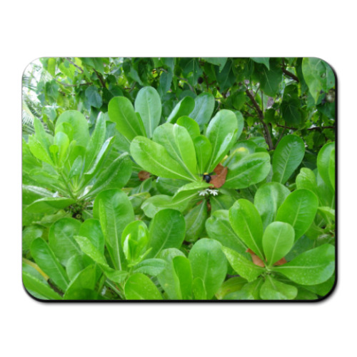 Коврик для мыши с принтом пчелка