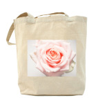 Нежная роза