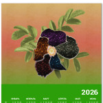 Арт-шиповник