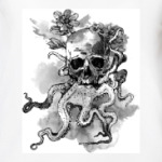 Череп-кальмар