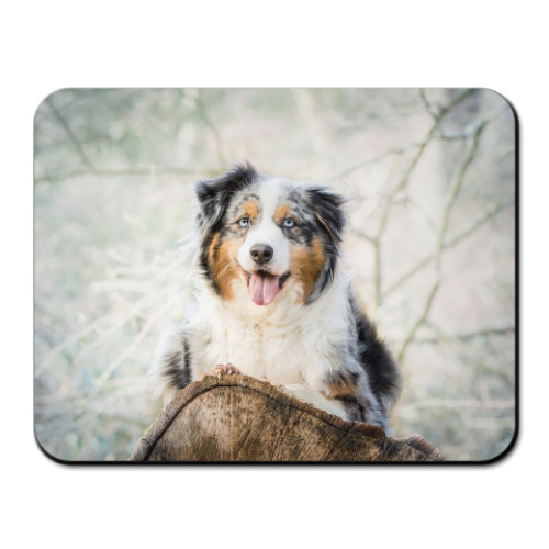 Коврик для мыши с принтом Аусси