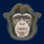 Обезьяна (monkey)