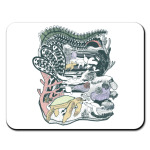 черепаха морская