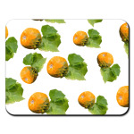 Pumpkin pattern