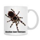 Кружка 330 мл