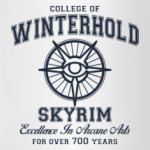 Skyrim . College of Winterhold