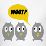 Совы беседуют