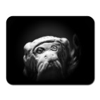 Коврик для мыши 'Не говорю зла'