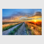 Фото природы