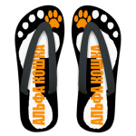  Альфа кошка