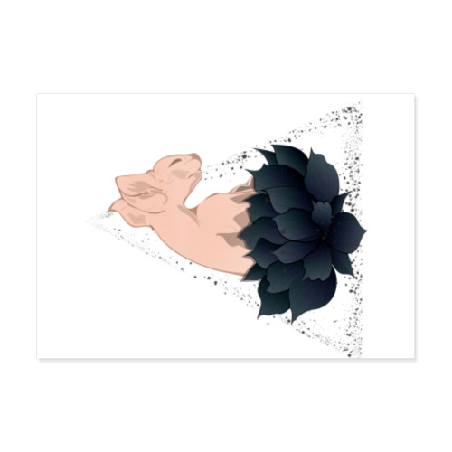 Виниловые наклейки с принтом Сфинкс в цветах