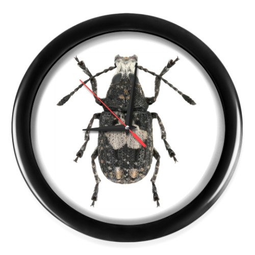 Настенные часы с принтом Жук ложнослоник