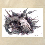 Skull Aries