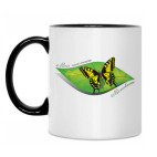 Кружка двухцветная