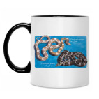 Кружка двухцветная