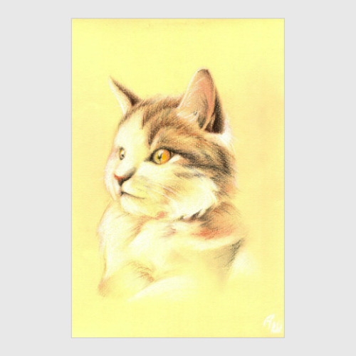 Постер Удивленный кот