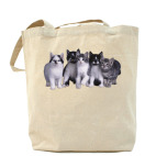 Холщовая сумка