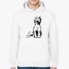 Толстовка худи