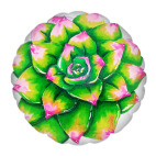 Неоновый суккулент