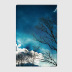 Небо и ветки