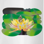 ~ Бабочка и Лотос ~