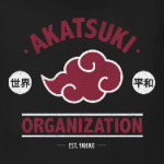 Naruto Akatsuki Organization
