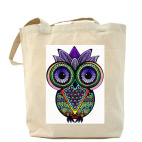 Совы. Совушки. Owl. Owls.