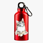 Металлическая бутылка 400 мл UV-DTF