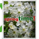 springTIME!