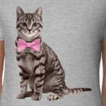 Cat with bow tie / кот с розовой бабочкой