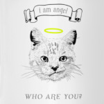 Кот ангел с нимбом над головой