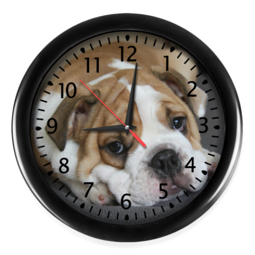 Настенные часы с принтом  Пес