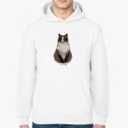 Толстовка худи