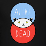 Кот Шрёдингера