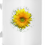 Маленькое солнышко