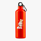 Металлическая бутылка 700 мл UV-DTF