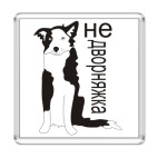 бордер колли