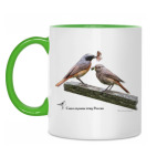 Обыкновенные горихвостки