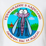 Приезжайте в Карелию