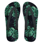 Тропический лес